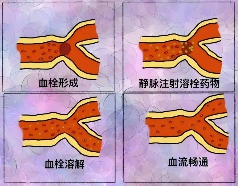 內(nèi)頁圖.jpg